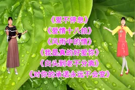 杨美华《爱情十八拍》《我是真的好爱你》《爱不停息》歌醉舞美视频封面