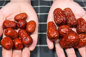 到底哪一种是“硫磺枣”？别着急！看完这个视频你就会明白了视频封面