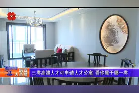 三类高端人才可申请人才公寓   看你属于哪一类视频封面