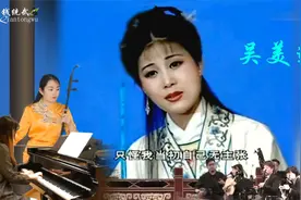 黄梅戏《泪洒相思地》：临终恨，国家一级演员-吴美莲演唱视频封面