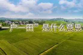 “一户一田”政策是什么意思？有哪些好处？会全国执行吗？视频封面