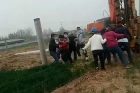 河北百亩麦田因建光伏电站被强铲，官方回应视频封面