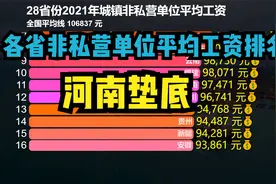 28省份2021年平均工资出炉！河南意外垫底，看看你家乡排第几？视频封面