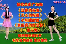 《想你的夜晚》《无心的相遇》《小妹甜甜甜》《真的真的好想你》