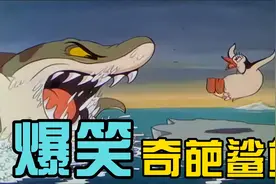 搞笑配音：这只企鹅太猛了 敢单挑鲨鱼 是个狠人视频封面