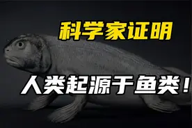 科学家证实，人类是由鱼类，进化而来的重要证据！视频封面