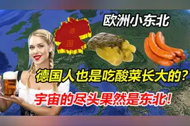 为什么有人说德国是欧洲的小东北？跟吃有什么关系？视频封面