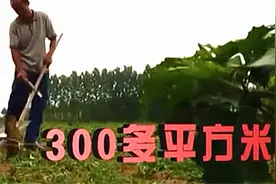 邙山墓葬群多达十万以上！其中这座古墓很惊人，竟有300多平方米视频封面