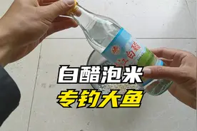 网传白醋泡米专钓大鱼，小伙野钓实测：这鱼和人想的不一样