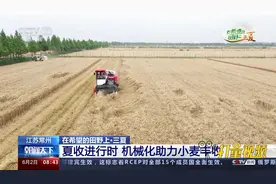 江苏常州：夏收进行时，机械化助力小麦丰收，确保颗粒归仓视频封面