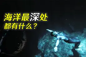 4分钟带你了解，超出你想象的深海世界！海底10000米到底有什么？