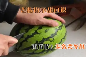 搞笑视频：老板说不甜包退，为什么我的西瓜会变成“冬瓜”呢？