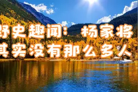 野史趣闻：杨家将其实没有那么多人视频封面