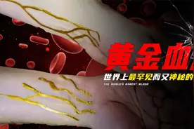 “黄金血型”究竟意味着什么？我国惊现最罕见的血型，全球仅一例视频封面
