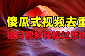 视频搬运软件，批量一键搬运去重，独家22种裂变黑科技，直接发布