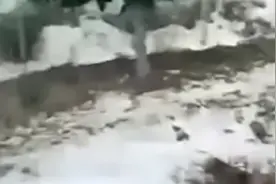 辽宁大连瓦房店市多地遭遇冰雹天气，受灾面积超10万亩视频封面