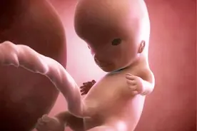孕妇总感觉肚子一跳一跳的，原来不是胎动，在忙着打嗝视频封面