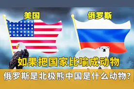 老外用鬣狗比喻日本，用狐狸比喻韩国，中国是什么动物？视频封面