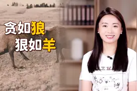 《史记》说“贪如狼，狠如羊”，羊能有多狠？在暗指什么人？视频封面