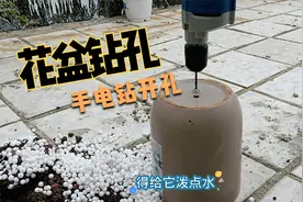 陶瓷花盆透气性差，用手电钻钻几个孔，封釉的花盆不好钻
