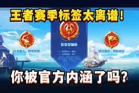 王者赛季标签太离谱！狡兔辅助优雅法师，官方吐槽很扎心视频封面
