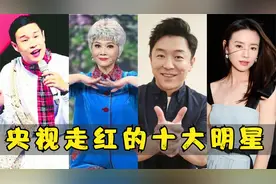 央视走红的十大明星，董洁离奇上榜，小沈阳成了永远的经典