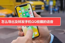 怎么导出及转发手机QQ收藏的语音