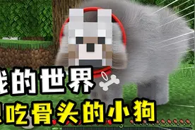 我的世界：在游戏中出现一条现实的狗？狗毛非常的蓬松能防水视频封面