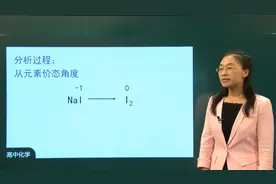 《人教版高一化学第一册 》- 7.物质及其变化复习