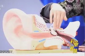 耳朵进了虫子怎么办？专家教你一招，紧急情况下可先自救|人口视频封面