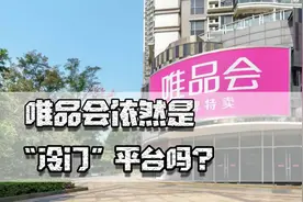 盈利十年，唯品会依然是电商里的“冷门”平台？视频封面