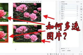 wps文字文档如何同时选中多张图片？多选是组合图片的第一步视频封面