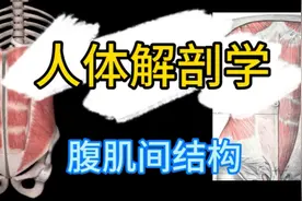 开腹手术如何打开腹腔，剖腹产手术要切开七八层腹壁，真的吗？视频封面