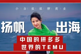 拳打希音脚踢亚马逊，跨境之狼Temu是何方神圣？视频封面