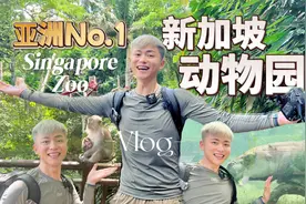 新加坡旅行vlog 世界第三 亚洲第一的新加坡动物园 体验感太棒了视频封面