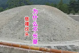 慈禧太后的坟头为什么长了草？民间流传慈禧宝顶不长草，怎么回事视频封面
