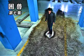 蚂蚁发生了变异，身体会产生电流，它们袭击了人类！美剧《困兽》