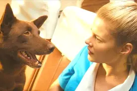 喜剧：一群大老爷们给美女让座，可她却坐在狗的旁边，结果搞笑了视频封面