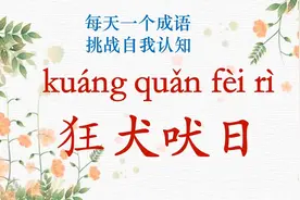 ，每天一个成语|狂犬吠日视频封面