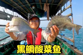渔夫钓满箱黑鲷鱼，挑最大的做酸菜鱼，一般人可不敢这么吃视频封面