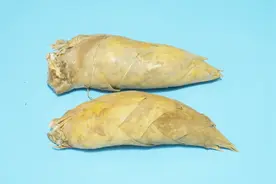 老奶奶教我冬笋去皮窍门，中间划一刀，冬笋完整剥出，省时省力视频封面