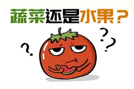 番茄到底算是蔬菜还是水果？视频封面
