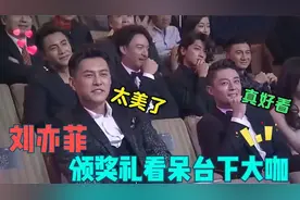 明星谈刘亦菲，胡歌说长得太美，杨洋对刘亦菲的评价从不吝啬视频封面