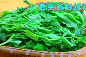 豌豆尖不要只会烧汤了，教你2个简单又好吃做法，真正比吃肉过瘾视频封面