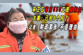 环卫每月650工资被拖欠，大娘：8个月了，记者：财政紧张不是理由视频封面