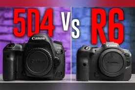佳能 5D Mark 4 与佳能 R6：哪个更好？
