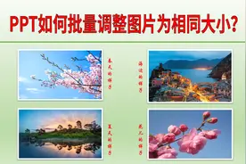 PPT怎样批量调整图片为相同尺寸？统一图片大小，一步到位视频封面