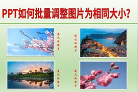 PPT怎样批量调整图片为相同尺寸？统一图片大小，一步到位视频封面