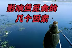 钓鱼不吃钩？到底是什么原因造成的？影响因素以及应对策略分享视频封面