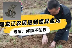 1965年，黑龙江农民挖出“怪叫”的金色坐龙，专家：你镇不住它视频封面